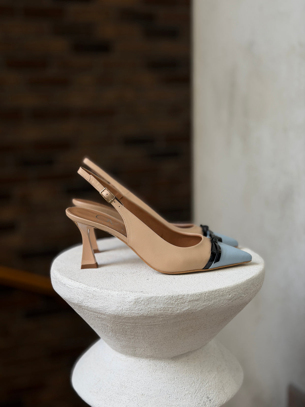 C35 OVYE AMN 242 KSENO