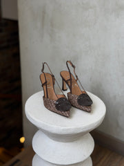 C29 OVYE AMR 1312 MORO